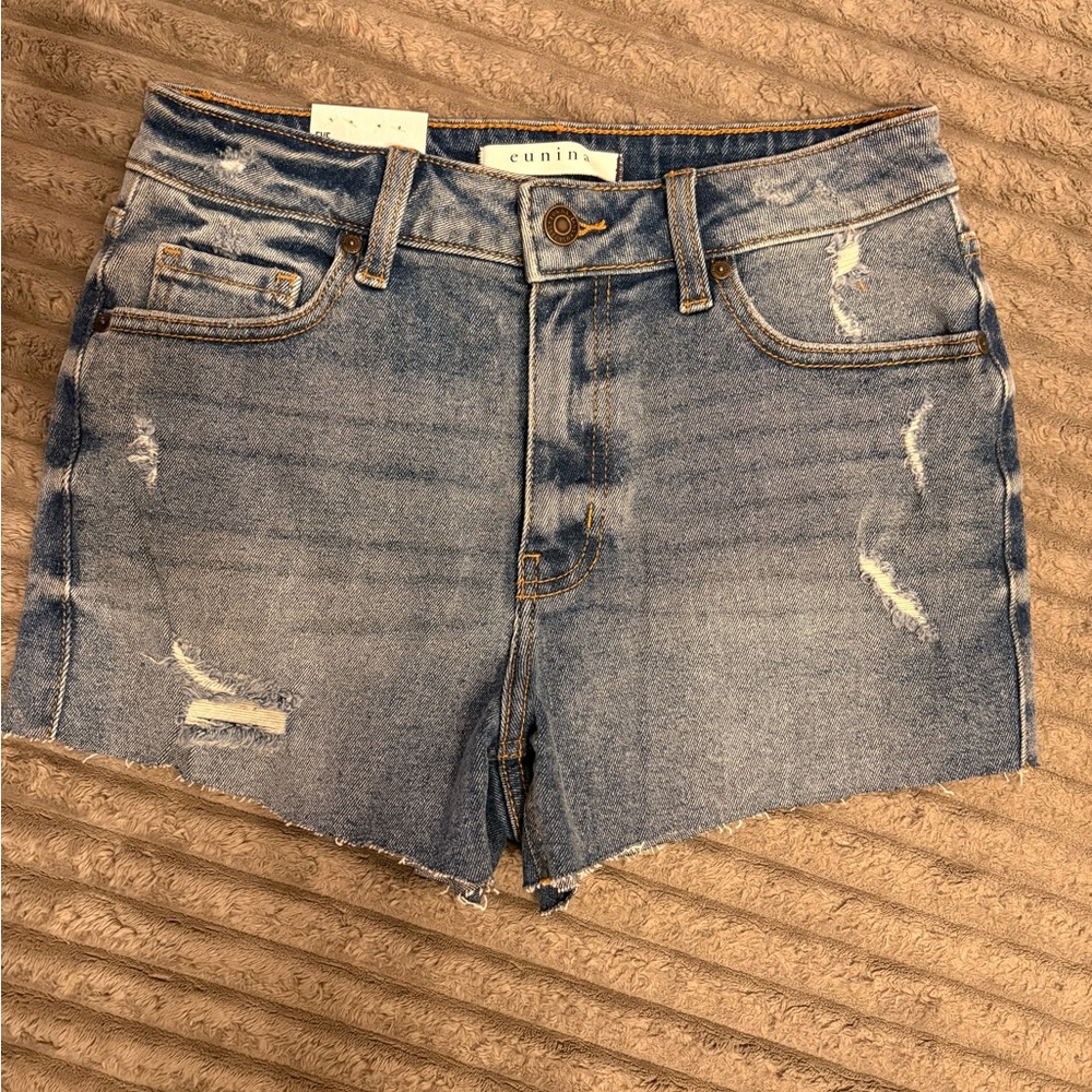 Eunina Light Blue Distressed Jean Shorts